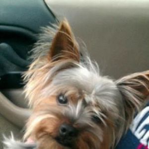 Meet your Posher, Della